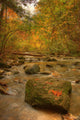 Stream In Autumn, Rock Glen Conservation Area, Near Arkona, Ontario Wall Mural