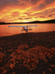 A Float Plane Facing The Sunrise Over Teslin Lake, Yukon Wall Mural