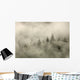 Tips Of Coniferous Trees In Mist, Vancouver Island, British Columbia Wall Mural