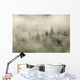 Tips Of Coniferous Trees In Mist, Vancouver Island, British Columbia Wall Mural