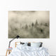 Tips Of Coniferous Trees In Mist, Vancouver Island, British Columbia Wall Mural