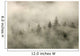 Tips Of Coniferous Trees In Mist, Vancouver Island, British Columbia Wall Mural