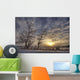 Snow Covered Trees Silhouetted By Sunrise On The Alberta Prairies Wall Mural