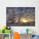 Snow Covered Trees Silhouetted By Sunrise On The Alberta Prairies Wall Mural