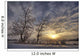 Snow Covered Trees Silhouetted By Sunrise On The Alberta Prairies Wall Mural