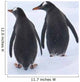 Gentoo Penguins Climb The Side Of An Iceberg Floating In Neko Harbour Wall Mural