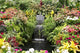 Waterfall Wall Mural