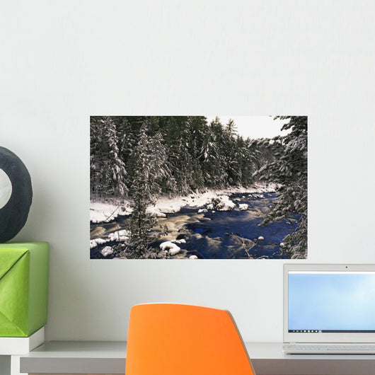 Ouareau River And Snow Covered Evergreen Trees In Winter Wall Mural