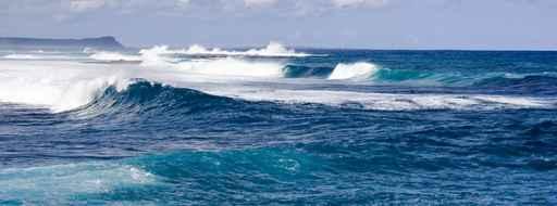 Guadeloupe Vagues La Pointe Wall Decal