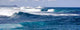 Guadeloupe Vagues La Pointe Wall Decal