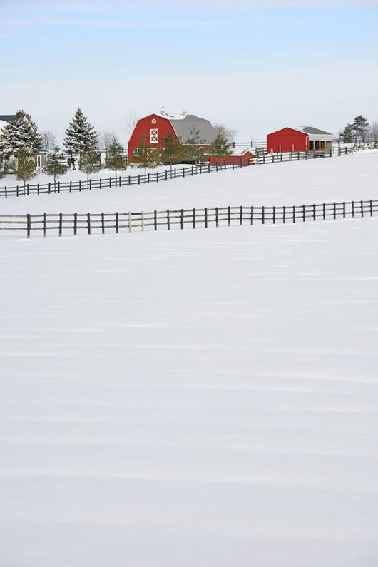 Red Barn In Winter, Near Zephyr, Ontario Wall Mural