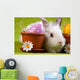 Easter Bunny Wall Mural