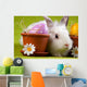 Easter Bunny Wall Mural