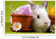 Easter Bunny Wall Mural
