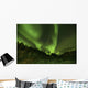 Aurora Borealis Above Teslin, Yukon Wall Mural