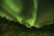 Aurora Borealis Above Teslin, Yukon Wall Mural