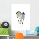 Cantering Arab Horse Wall Decal