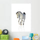 Cantering Arab Horse Wall Decal