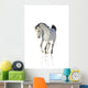 Cantering Arab Horse Wall Decal