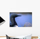 Close Up Portrait Of An Arctic Loon Wall Mural