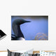 Close Up Portrait Of An Arctic Loon Wall Mural