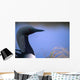 Close Up Portrait Of An Arctic Loon Wall Mural