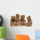 Bear Family