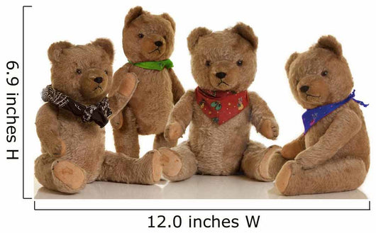 Bear Family