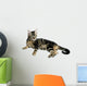 Tabby Kitten Wall Mural