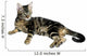 Tabby Kitten Wall Mural