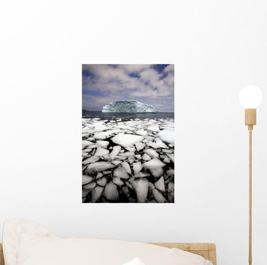 Floating Ice Shattered From Iceberg Wall Mural