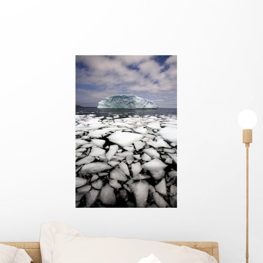 Floating Ice Shattered From Iceberg Wall Mural