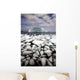 Floating Ice Shattered From Iceberg Wall Mural