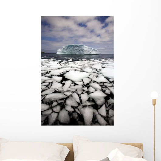 Floating Ice Shattered From Iceberg Wall Mural
