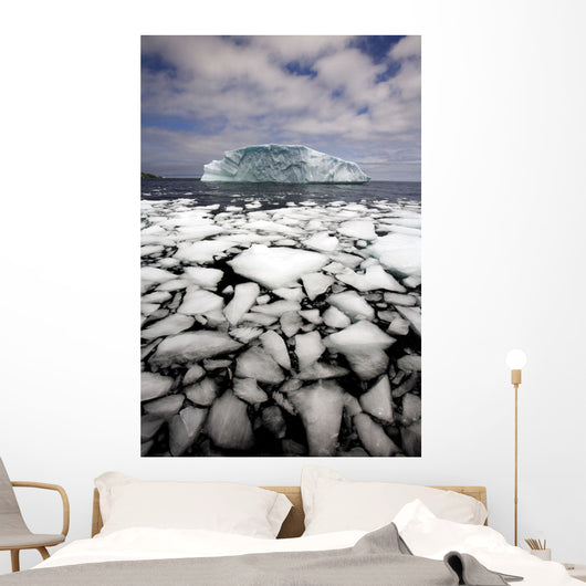 Floating Ice Shattered From Iceberg Wall Mural