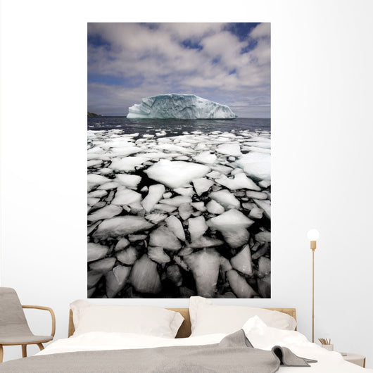 Floating Ice Shattered From Iceberg Wall Mural