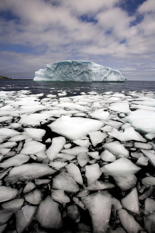 Floating Ice Shattered From Iceberg Wall Mural