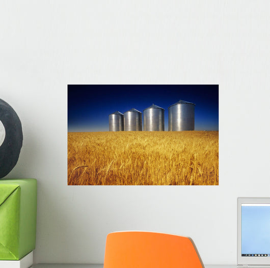 Mature Winter Wheat Field With Grain Bins In The Background Wall Mural