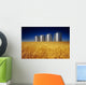 Mature Winter Wheat Field With Grain Bins In The Background Wall Mural