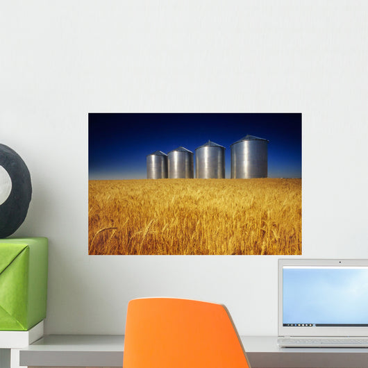Mature Winter Wheat Field With Grain Bins In The Background Wall Mural
