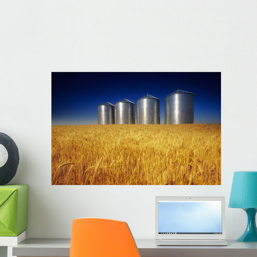 Mature Winter Wheat Field With Grain Bins In The Background Wall Mural
