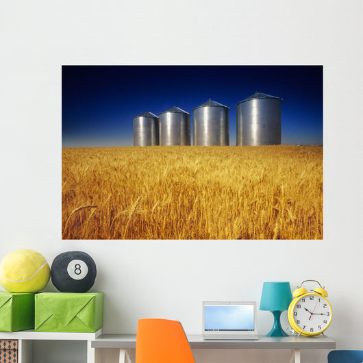 Mature Winter Wheat Field With Grain Bins In The Background Wall Mural