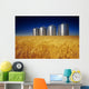 Mature Winter Wheat Field With Grain Bins In The Background Wall Mural