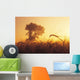 Mist In A Barley Field At Sunset, Near Carey, Manitoba Wall Mural