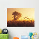 Mist In A Barley Field At Sunset, Near Carey, Manitoba Wall Mural