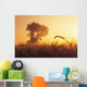 Mist In A Barley Field At Sunset, Near Carey, Manitoba Wall Mural