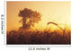 Mist In A Barley Field At Sunset, Near Carey, Manitoba Wall Mural
