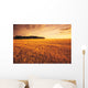 Field Of Grain Stubble Near St Adolphe, Manitoba Wall Mural