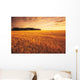 Field Of Grain Stubble Near St Adolphe, Manitoba Wall Mural