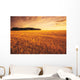 Field Of Grain Stubble Near St Adolphe, Manitoba Wall Mural